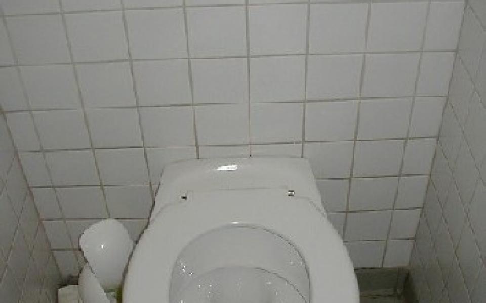 Photo 0 de Toilettes publique à 