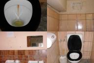 Photo 0 des wc de Athénée Royale par tetanie